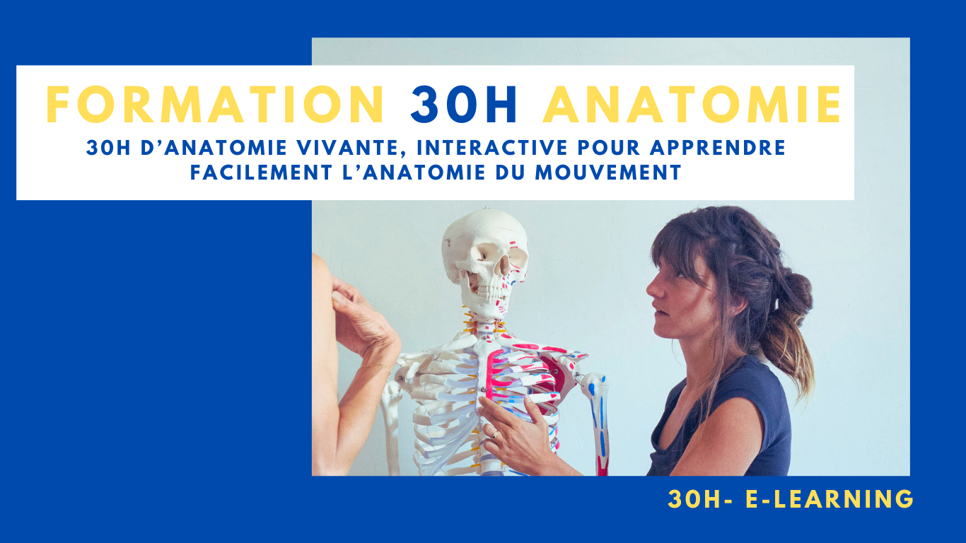 Formation Anatomie en ligne 30h - EN LIGNE